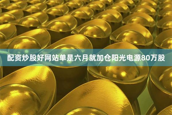 配资炒股好网站单是六月就加仓阳光电源80万股