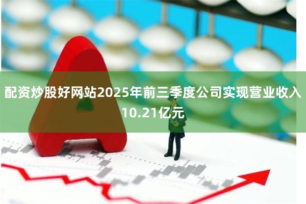 配资炒股好网站2025年前三季度公司实现营业收入10.21亿元
